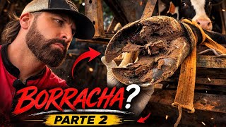 Casco BORRACHA - O que estava escondido por baixo (Parte 2)