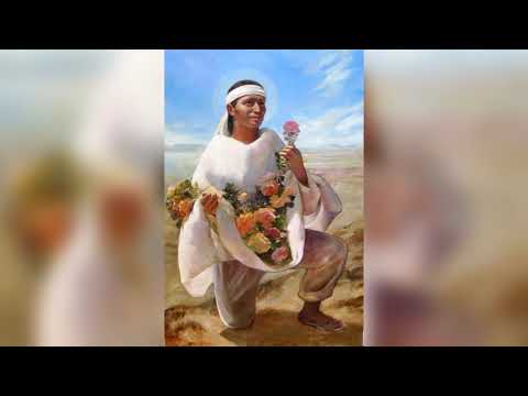 DIARIO SPIRITUALE MB 12/12/2020 - Luca 1,39-47