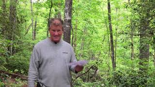 Lake Keowee Real Estate Video Update May 2026 Mike Matt Roach Top Guns Realty