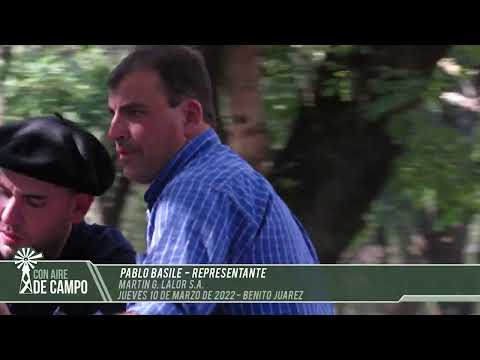 Pablo Basile -  remate de Martín G. Lalor - Jueves 10 de marzo de 2022 - Benito Juárez
