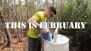 February Compilation  | #colesfarmnc #jacksonvillenc #beekeeping