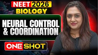 Neural Control and Coordination One-Shot 🎯