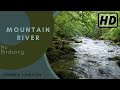1 Hour Forest River Water Sounds - Relaxing Mountain Stream Waterfall Sound - Sleeping & Meditation