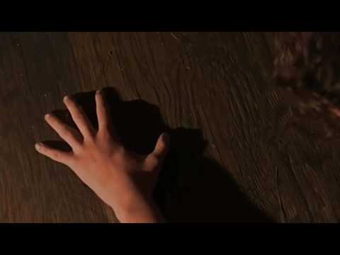 My Lupine Life Fast And Slow Hand And Feet Transformation