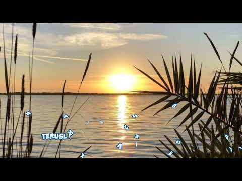 SUPERIOTS - Teruslah Bersinar - Cover : Manda Rose & Maulin ( lirik lagu )