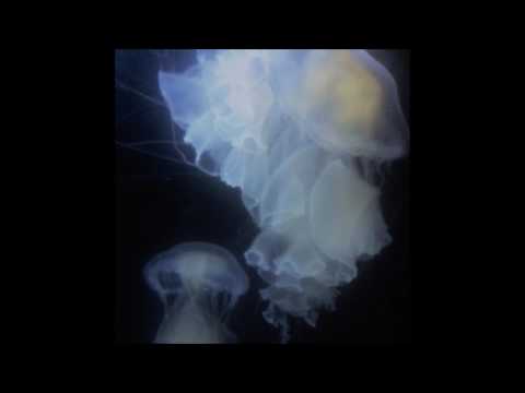 03. HNRK - nesting (ft. Drip-133)