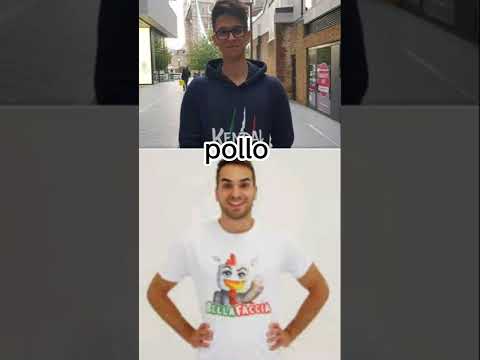 Kendal vs BellaFaccia