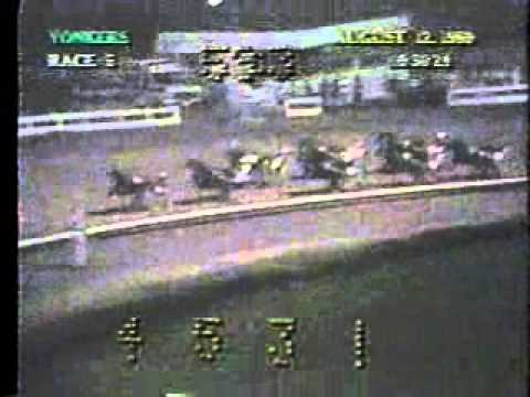 International Trot 1989 -Kit Lobell