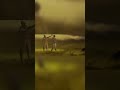Prem Koi Hum Par Na Jane Short Video Adipurushshorts Ramsiyaramwhatsappstatus