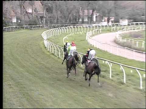 Galoppo 23/02/2016 - 2° corsa