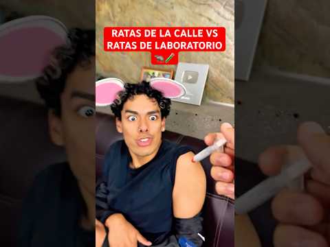 COMO VIVEN LAS RATAS DE LA CALLE VS RATAS DE LABORATORIO 🧪 🐀🤣