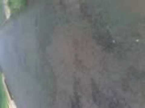 mc magrao e mc cequela [participaçao especial~~mc smilinguido~~][parte4]