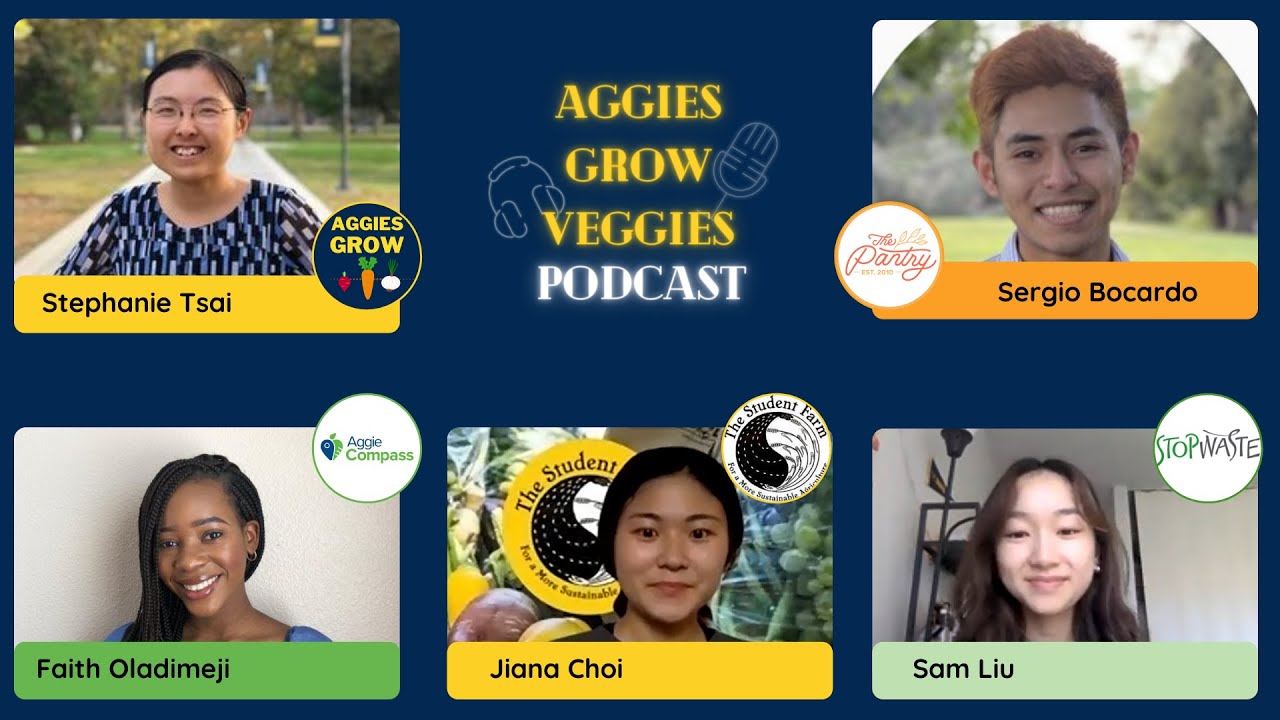 Food and Basic Needs at UC Davis, Part 1-2 | Aggies Grow Veggies Podcast