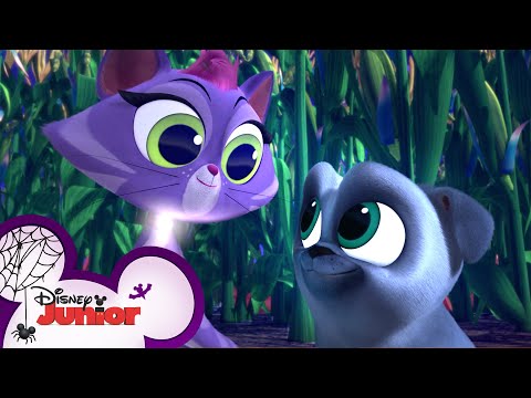 萬聖節南瓜園好玩嗎？| 狗狗的小夥伴｜迪斯尼少年兒童 (Halloween Pumpkin Patch Fun ? | Puppy Dog Pals | Disney Junior)