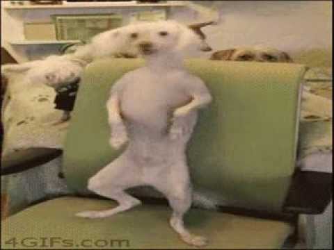 Raghav   Angel Eyes   feat  Jucxi & Frankey Maxx