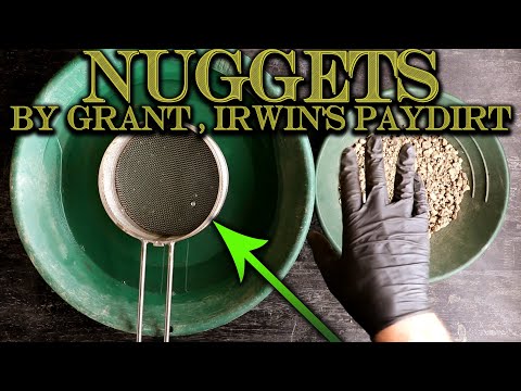 Gold Prospecting at Home #73 - Irwin's Gold Pay Dirt - Intermediate