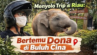 Download lagu Menyolo Trip di Riau: Bertemu Gajah Dona di Buluh Cina mp3