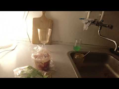 MongoTV_12758 - Min Morgenmad - Mørk RUGBRØD Med MARKRELSALAT og COLA