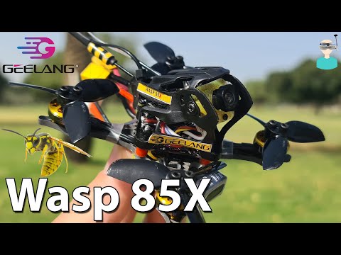 Geelang WASP 85X 2s Toothpick Micro Racer - Review, Setup & Flight Footage