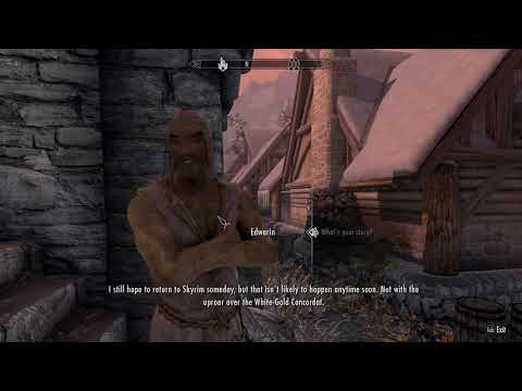 Edwarin the Altmer Refugee - Beyond Skyrim Bruma