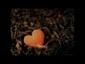 Last words - The Real Tuesday Weld