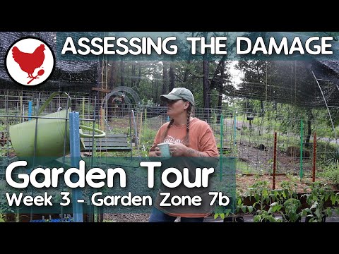 Valutazione dei danni | GARDEN TOUR 2025 - Settimana 3