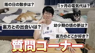 【質問】答えてたら恥ずかしくなってきた多頭飼いファミリーww