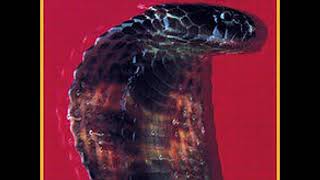 Blackfoot   Road Fever with Lyrics in Description