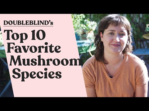 Top 10 Favorite Mushroom Species 🍄 DoubleBlind