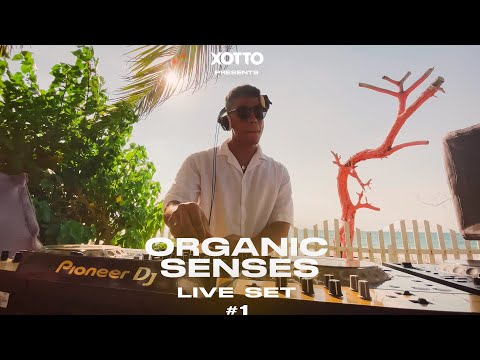 Xotto: Organic Senses 1 @ Amare Beach (Live Set)