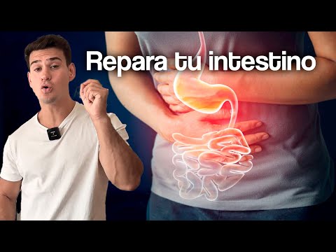 Como REPARAR tu INTESTINO de forma DEFINITIVA - Método Paso a Paso