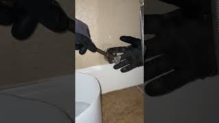 replacing a toilet’s angle stop (shut off valve) #plumber #plumbing