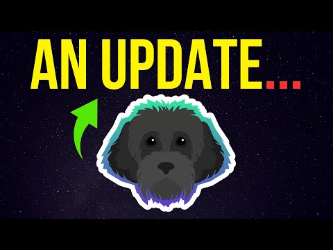 Myro: An Update on My Mindset for 2026 and I Discuss the MYRO Price