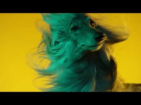 Sony - Customer Success Story