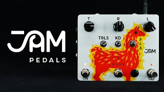  Jam Pedals Delay Llama Xtreme Analog Delay | Demo 