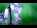 Alanis Morisette - What If God Was One Of Us 