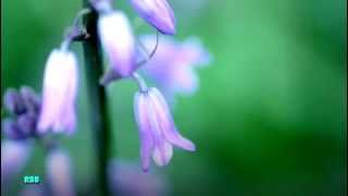 Alanis Morisette - What If God Was One Of Us