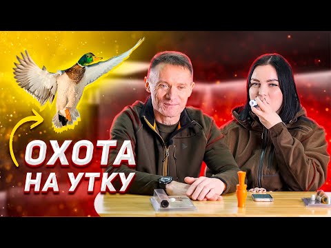 Үйрекке аңшылық: қару, оқ-дәрі, тактика