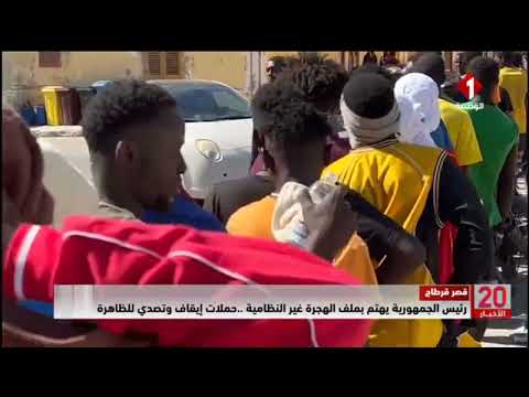 قصر قرطاج رئيس الجمهورية يهتم بملف الهجرة غير النظامية .. حملات إيقاف وتصدي للظاهرة