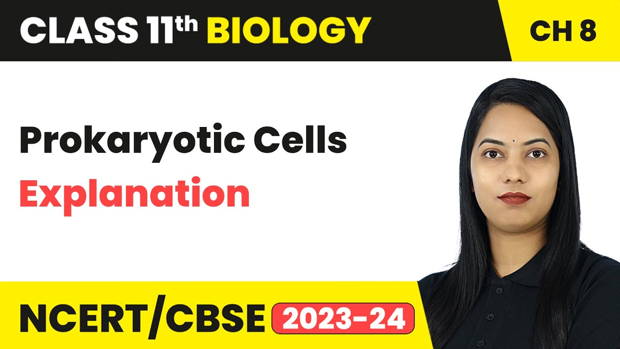 Prokaryotic Cells - Explanation | Cell: The Unit of Life | Class 11 Biology Chapter 8 | CBSE 2024-25