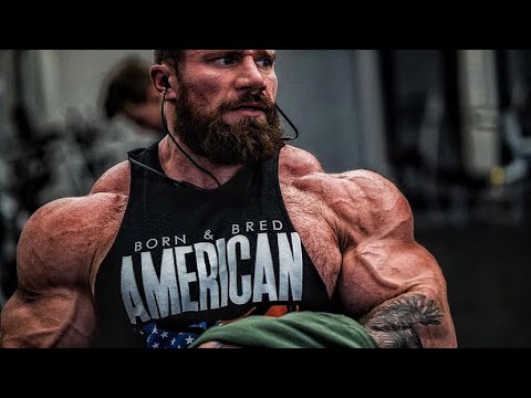 SEEK AND DESTROY - SETH FEROCE - BODYBUILDING LIFESTYLE MOTIVATION