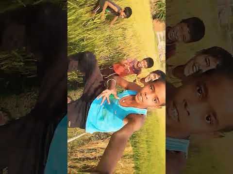 Twinkle Twinkle Little p4kt