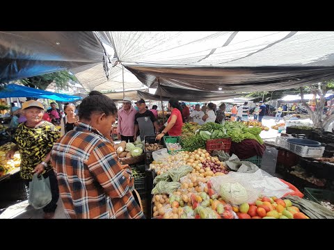 AS FEIRAS DO NORDESTE EM CANAPI AL MUITA FARTURA  PREÇO BOM 👍 BARRIGA CHEIA