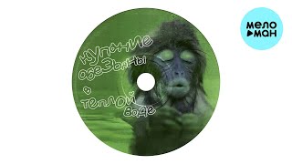 Купание обезьяны в тёплой воде - Хоккей (Single 2024)