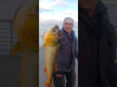 21/22 marzo 2026 - Monumento Colon - Muy buena pesca nocturna - Relevamiento de Dany. Buena semana.