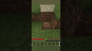 Satisfying Falling Sand Art In Minecraft Shorts Watch Hd Mp4 Videos Download Free