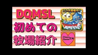 DQMSL 魔王フェス30連！ 牧場・地図全公開！！  ドラゴンクエストモンスターズスーパーライト攻略実況プレイ