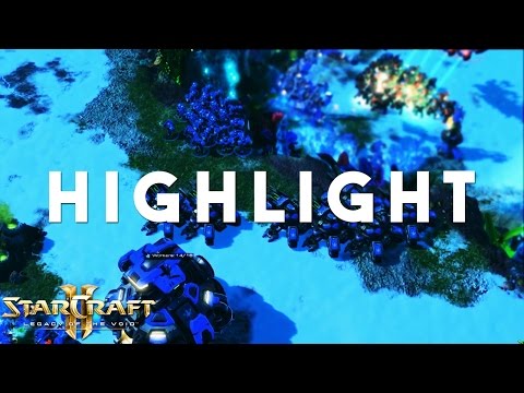 Starcraft II - Now for Something Completely Different | Spotlights 23