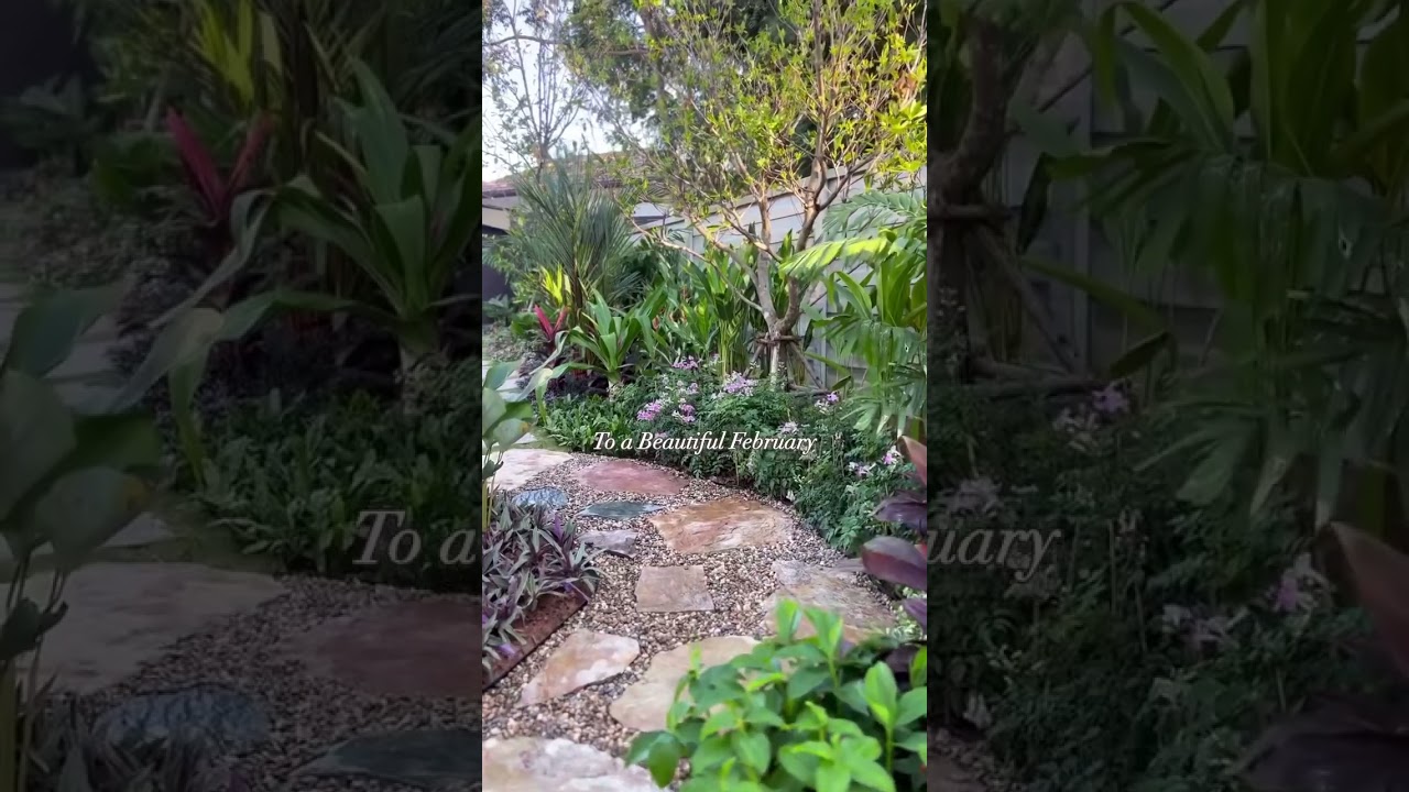 Tropical garden path