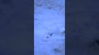 Download lagu Jimmy Cliff - I Can See Clearly Now / #shorts #reggae #letras #status #jimmycliff mp3